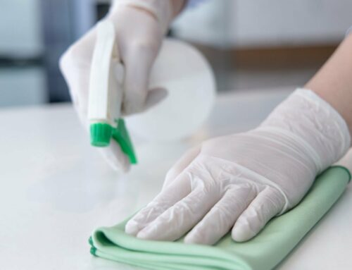How Spring Cleaning Services Can Improve Indoor Air Quality