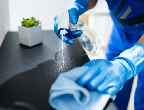 Exploring Types of Cleaning Services for Properties