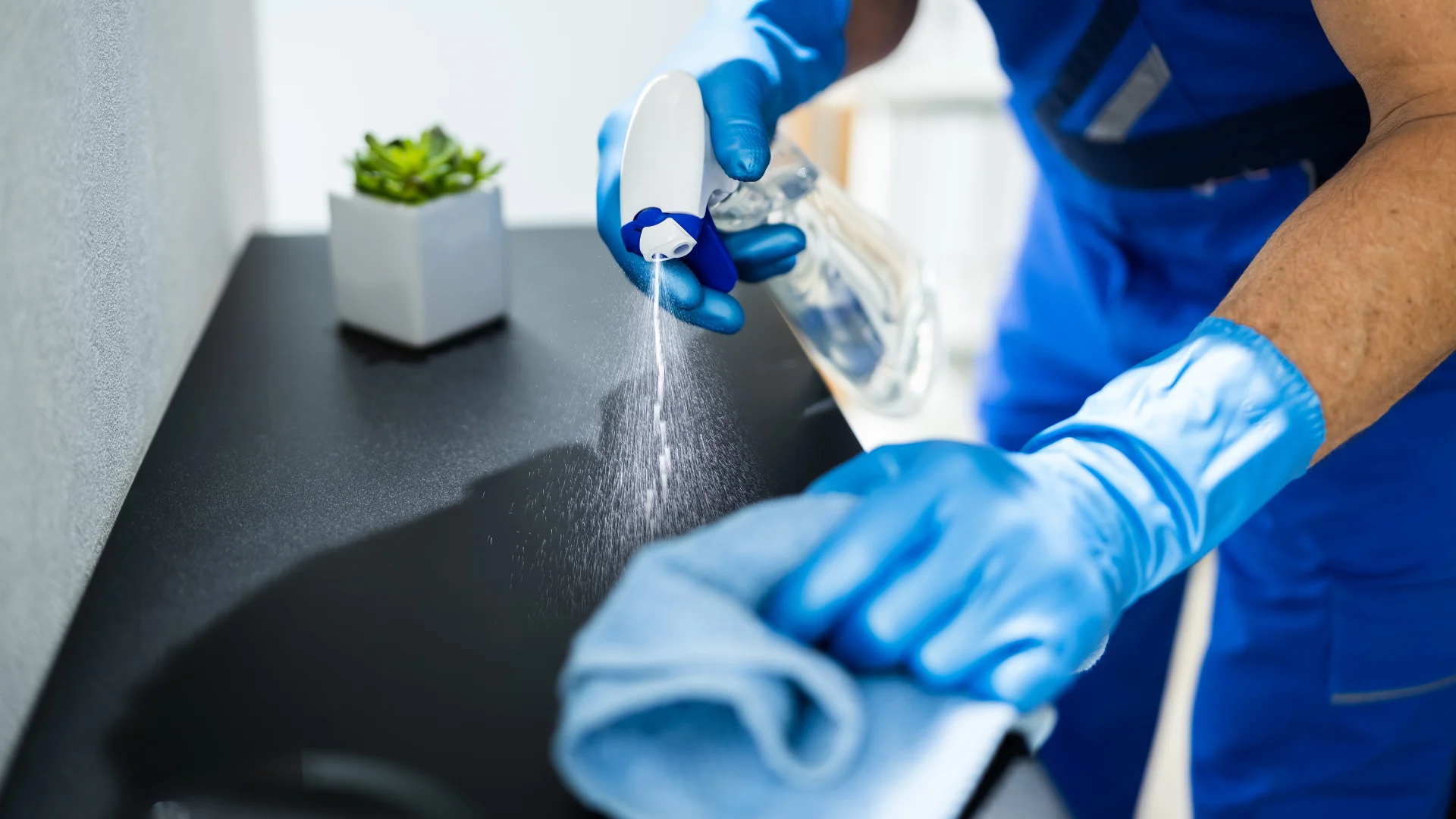 types of cleaning services
