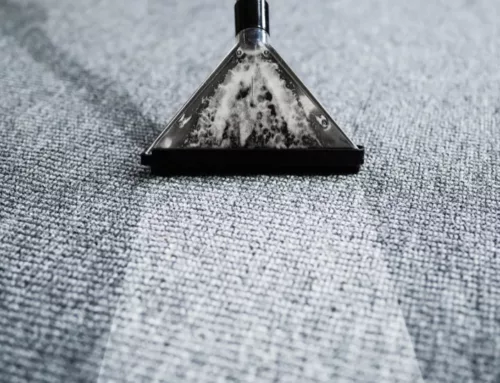 3 Signs It&rsquo;s Time to Hire a Professional Carpet Cleaner
