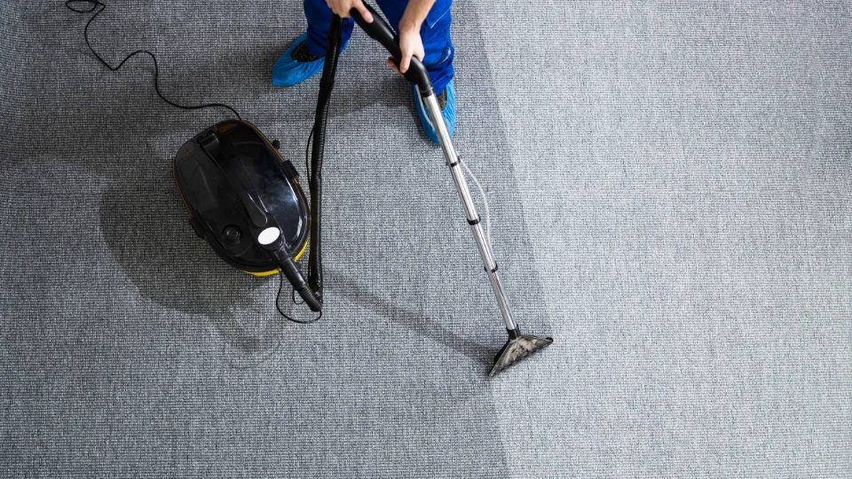 professional carpet cleaner